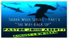Shark Week, part 2: The Way Back Up