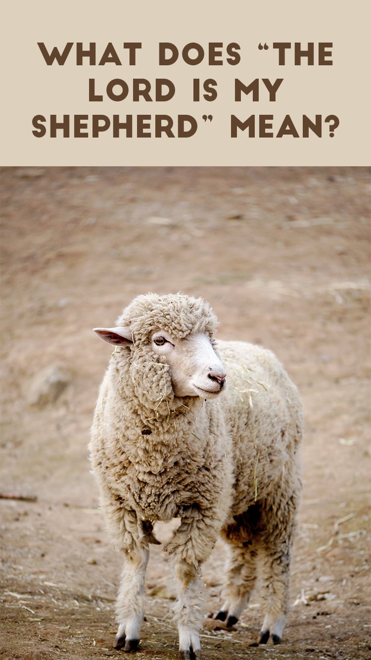 What does the Lord is my Shepherd mean?