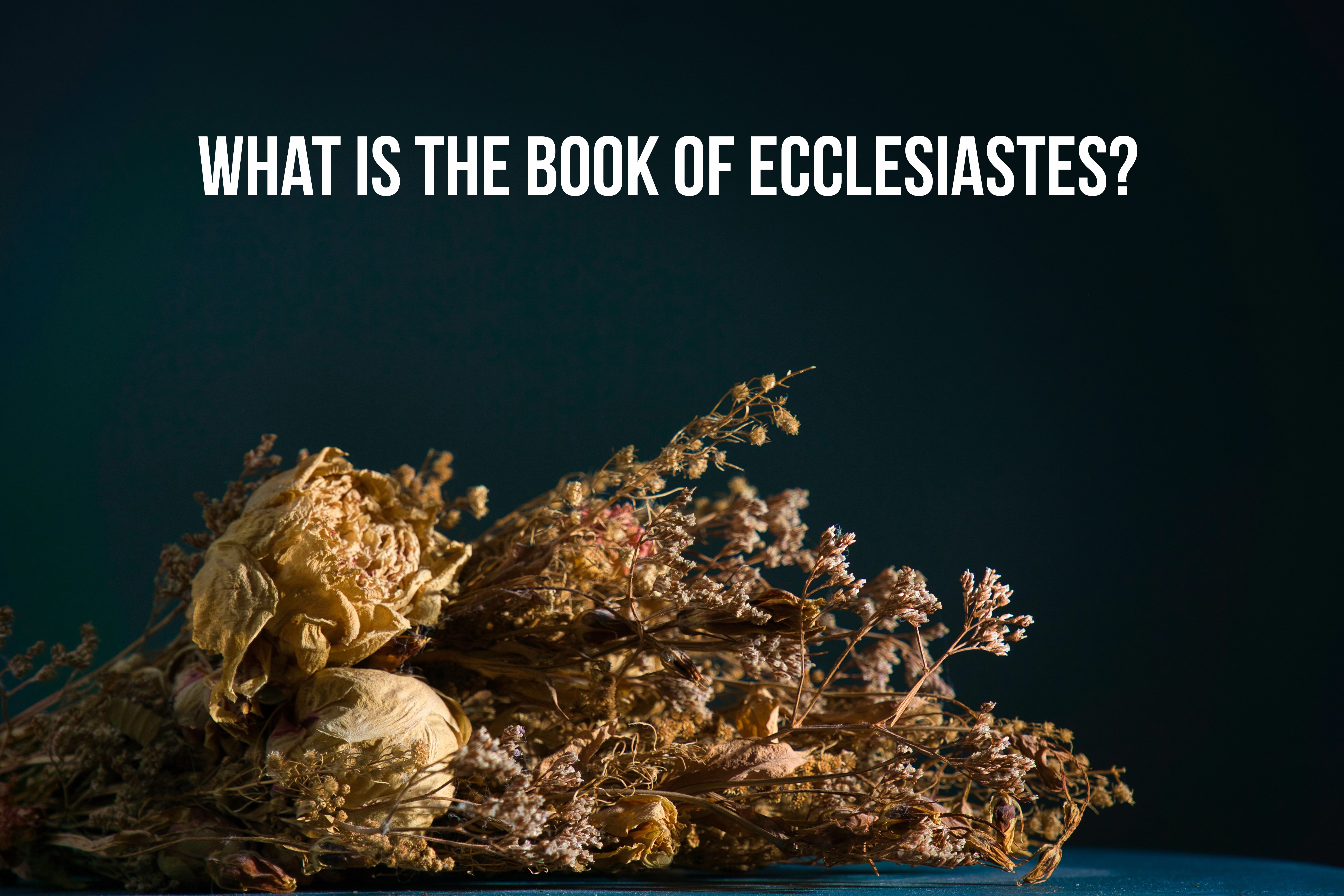 What is the Book of Ecclesiastes?