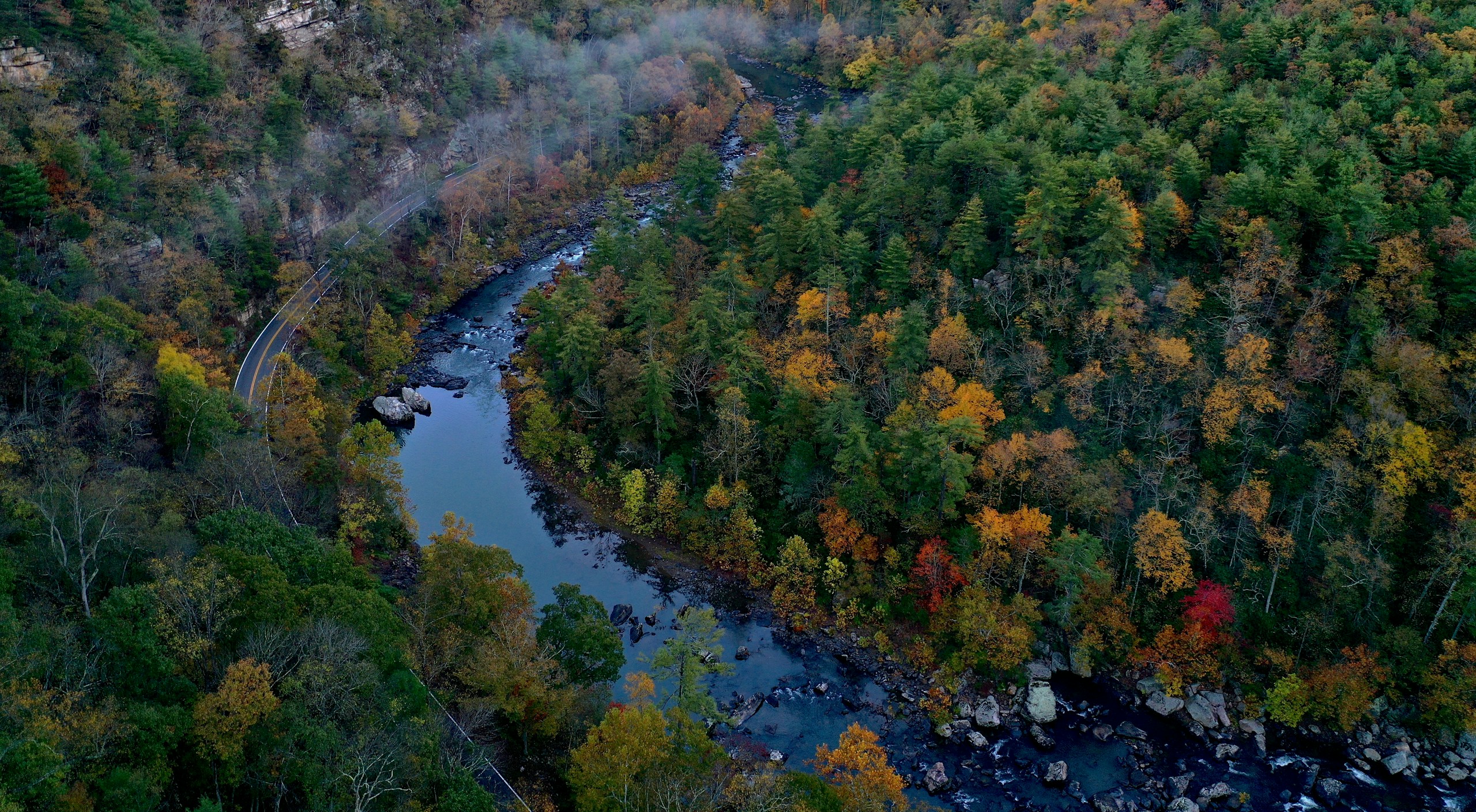 river in forest