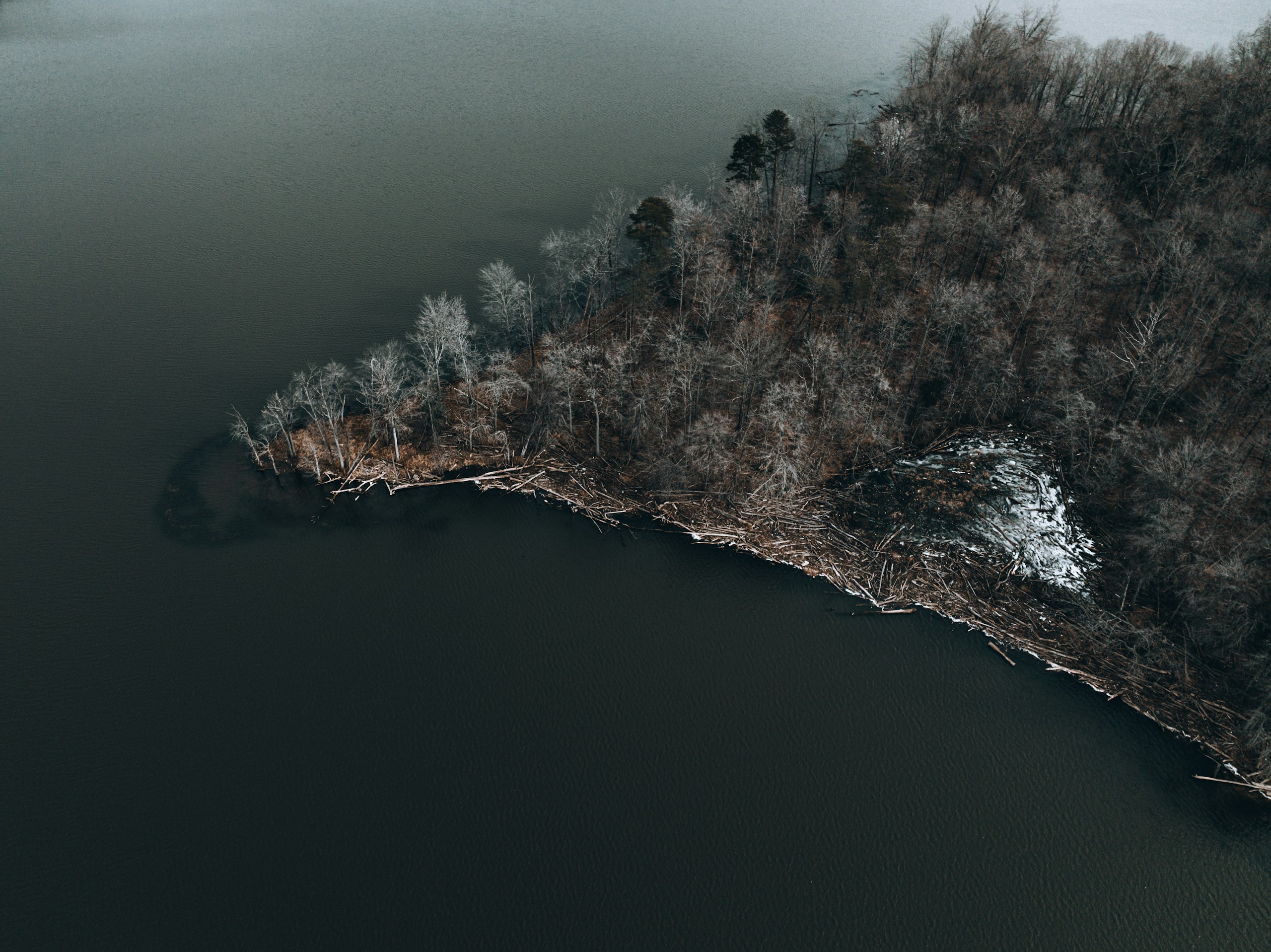 a large body of water surrounded by trees