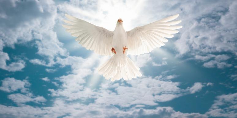 Chapter 3—The Spirituality of the Law