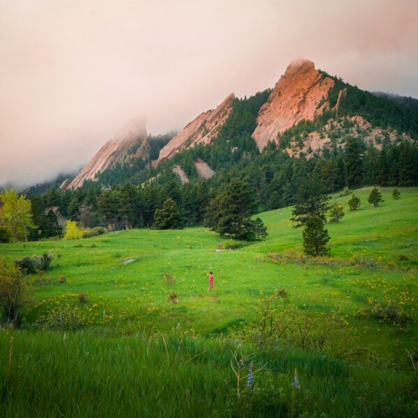 A grassy field with a mountain in the background