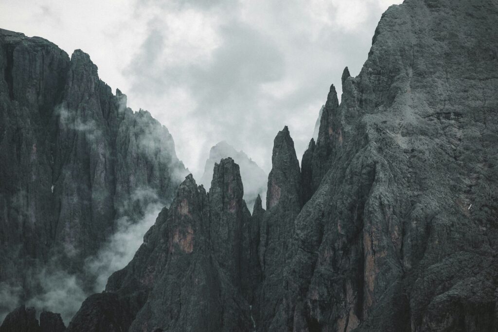 Celebrating Life: Healing Beyond Trauma