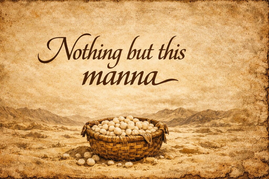 Nothing but this Manna