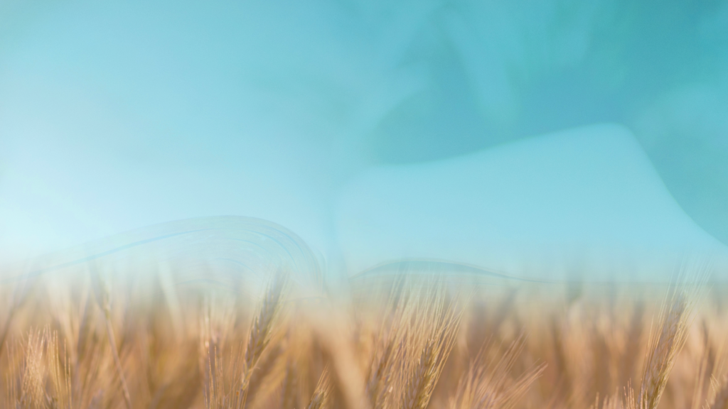 Journey in Faith: Discover Jesus