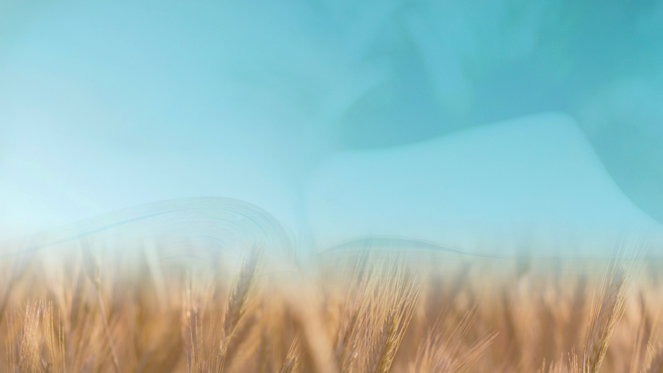 Avon Park Seventh-day Adventist Church