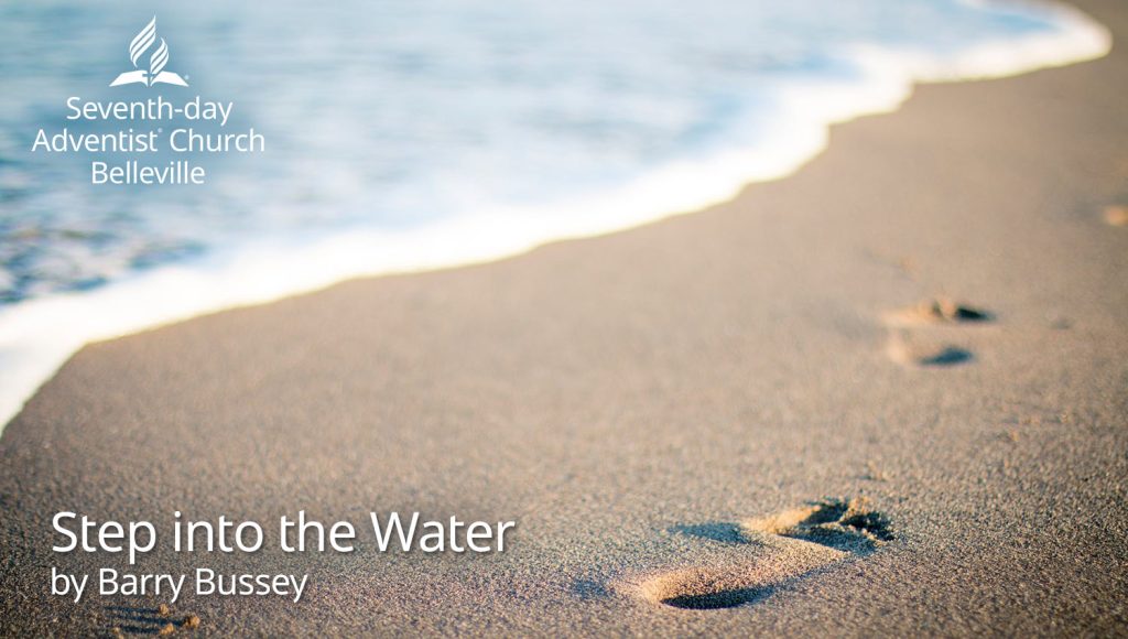 Step Into The Water by Barry Bussey
