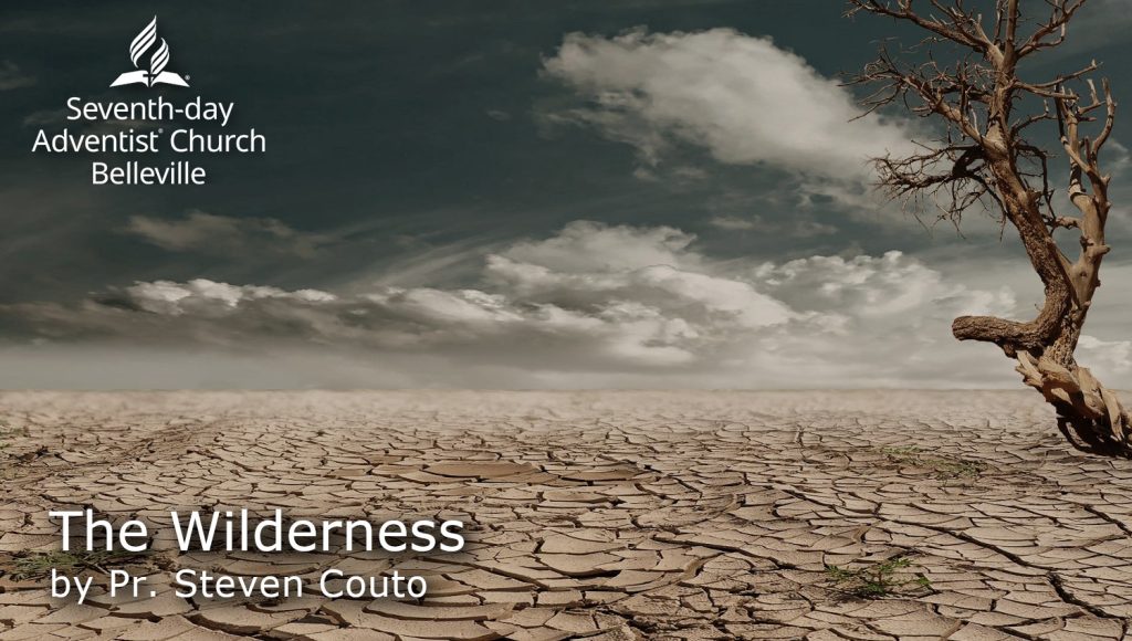 The Wilderness by Pr. Steven Couto
