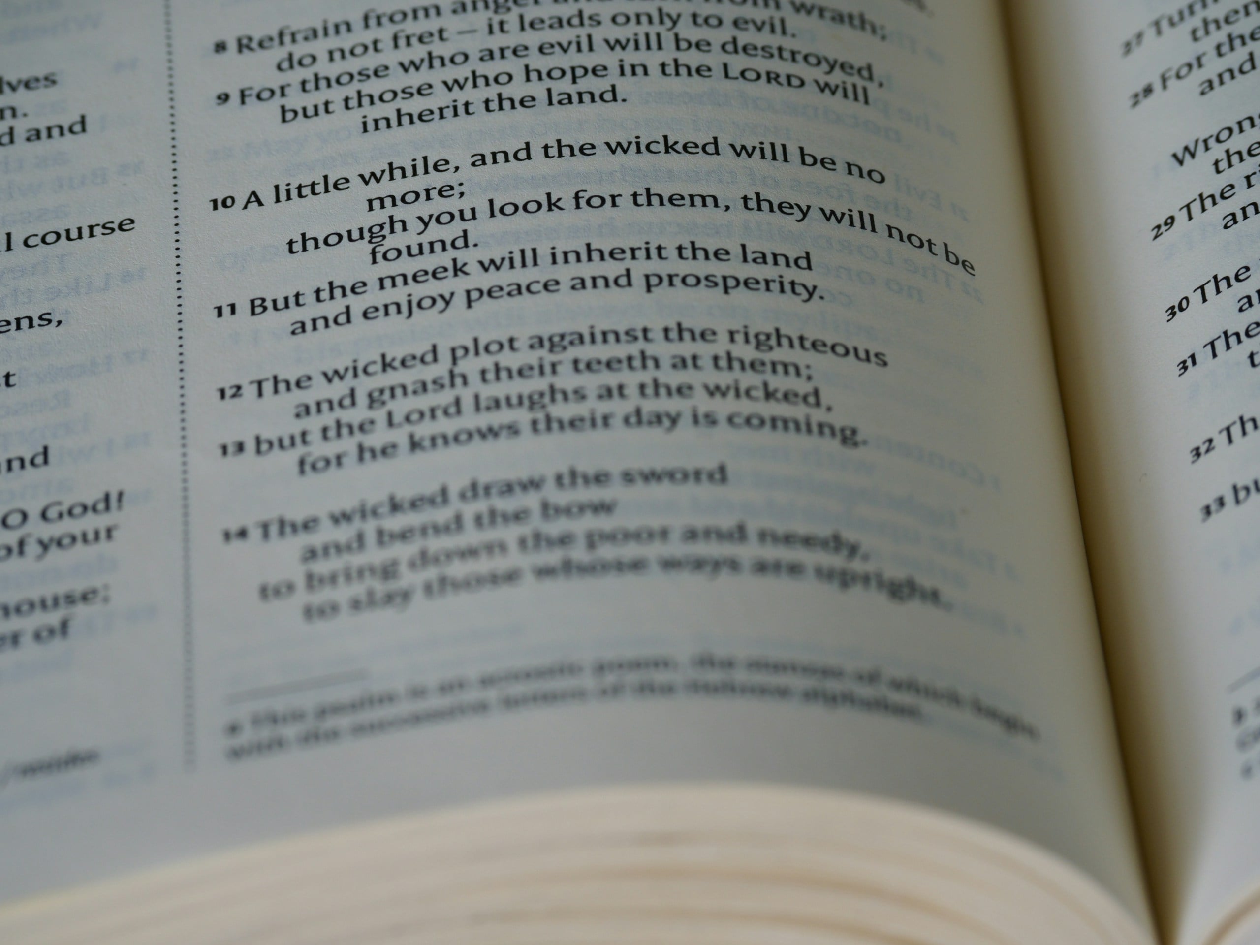 a close up of a book with an open page