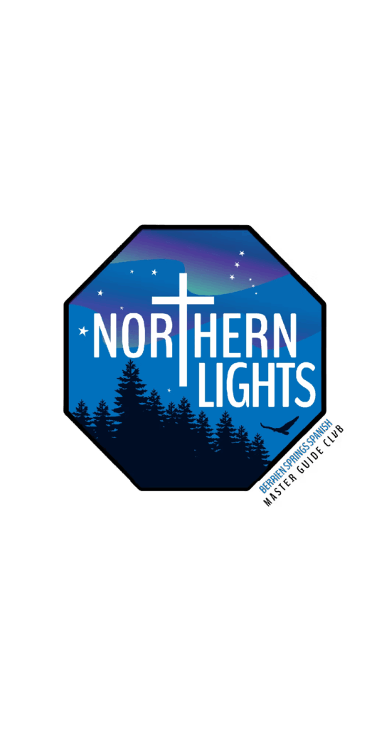 Northern Lights logo