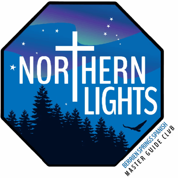 Northern Lights logo