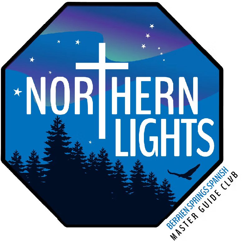 Northern Lights logo