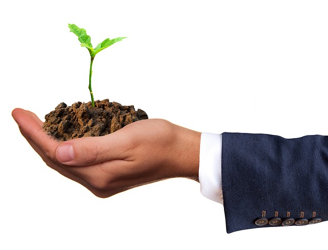 Planting A Seed in YOU