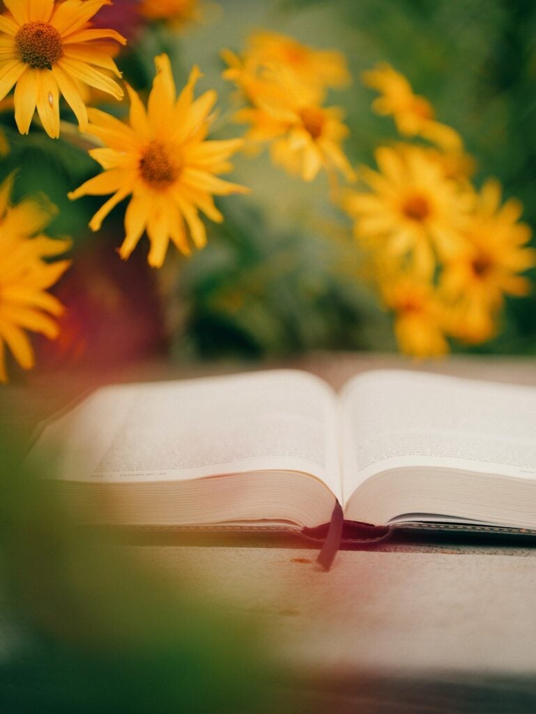 Open book with red bookmark and yellow flowers