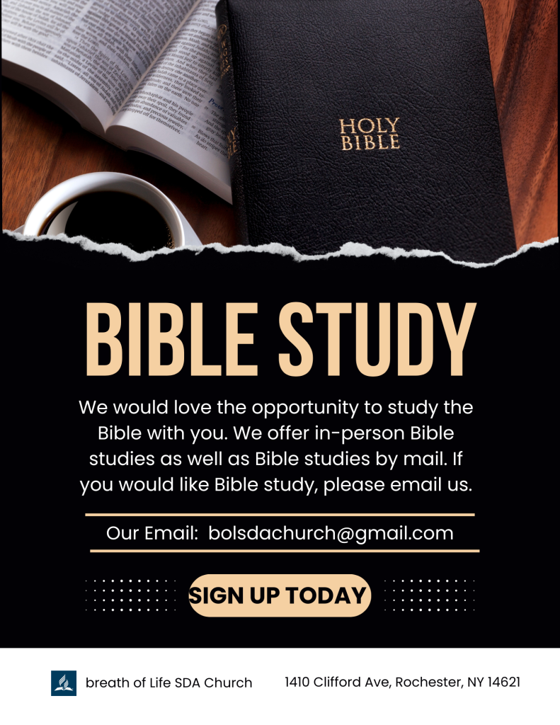 Bible Study