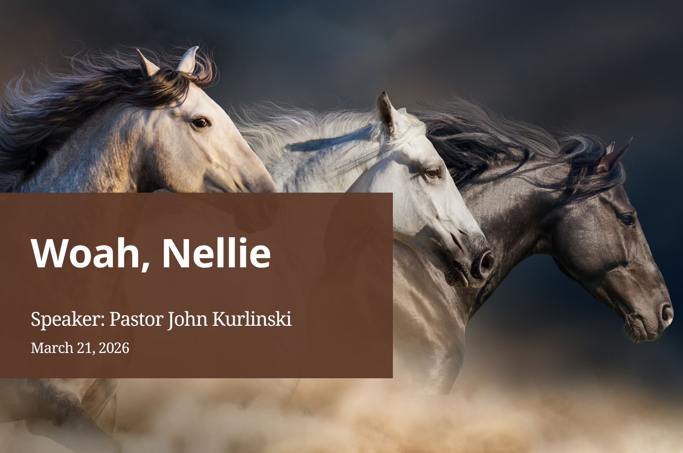 Woah Nellie! episode artwork