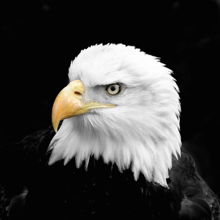 James Brown profile picture