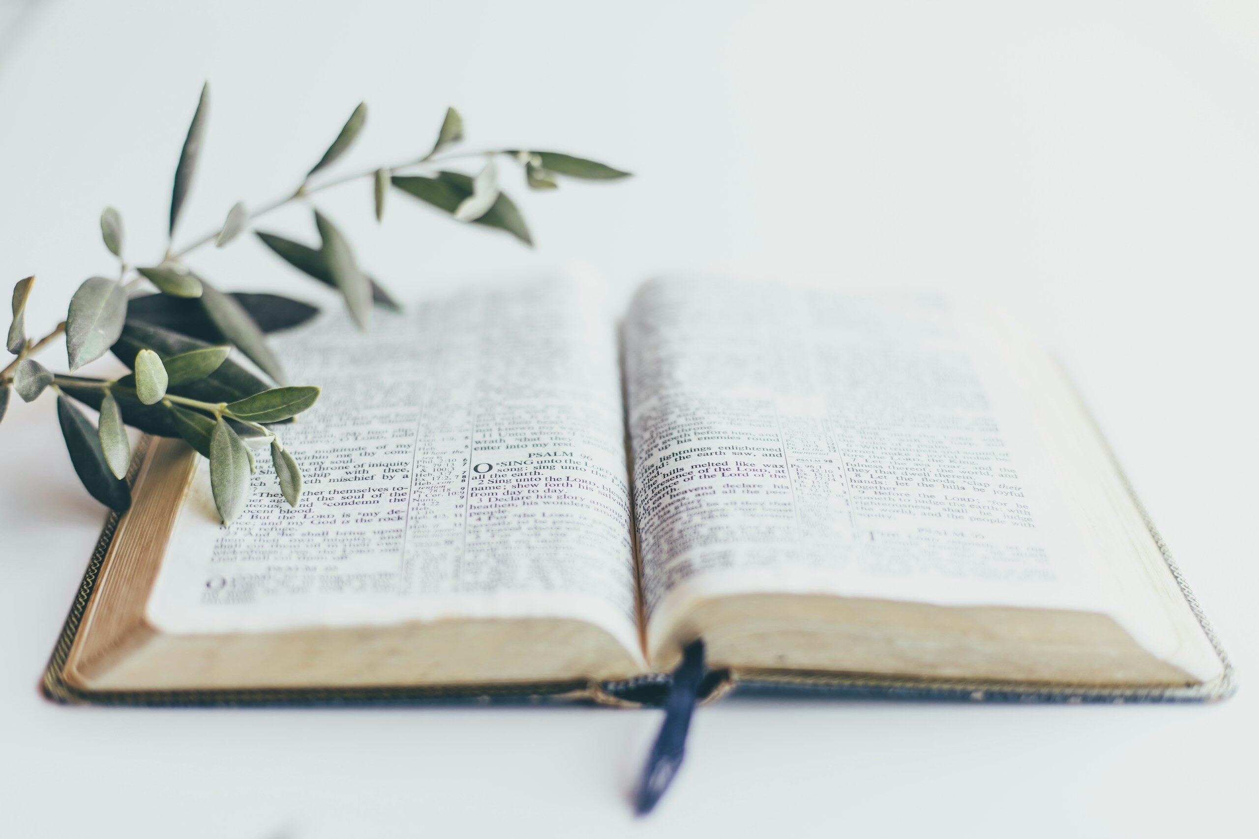 Studying the Bible.