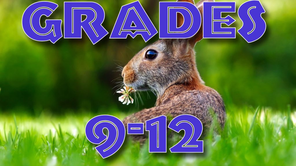 Grades 9-12
