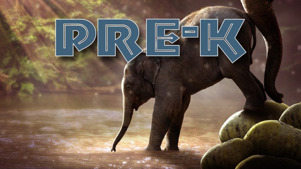 Pre-K and Kindergarten Program