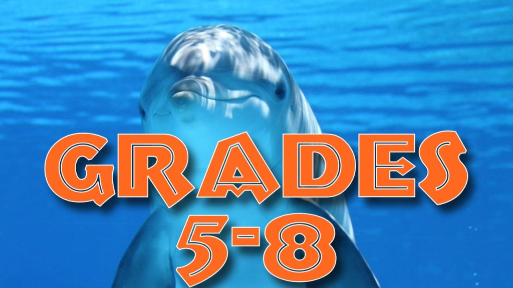 Grades 5-8