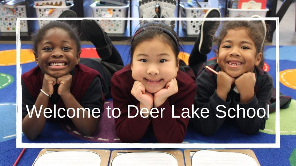 Welcome to Deer Lake School!