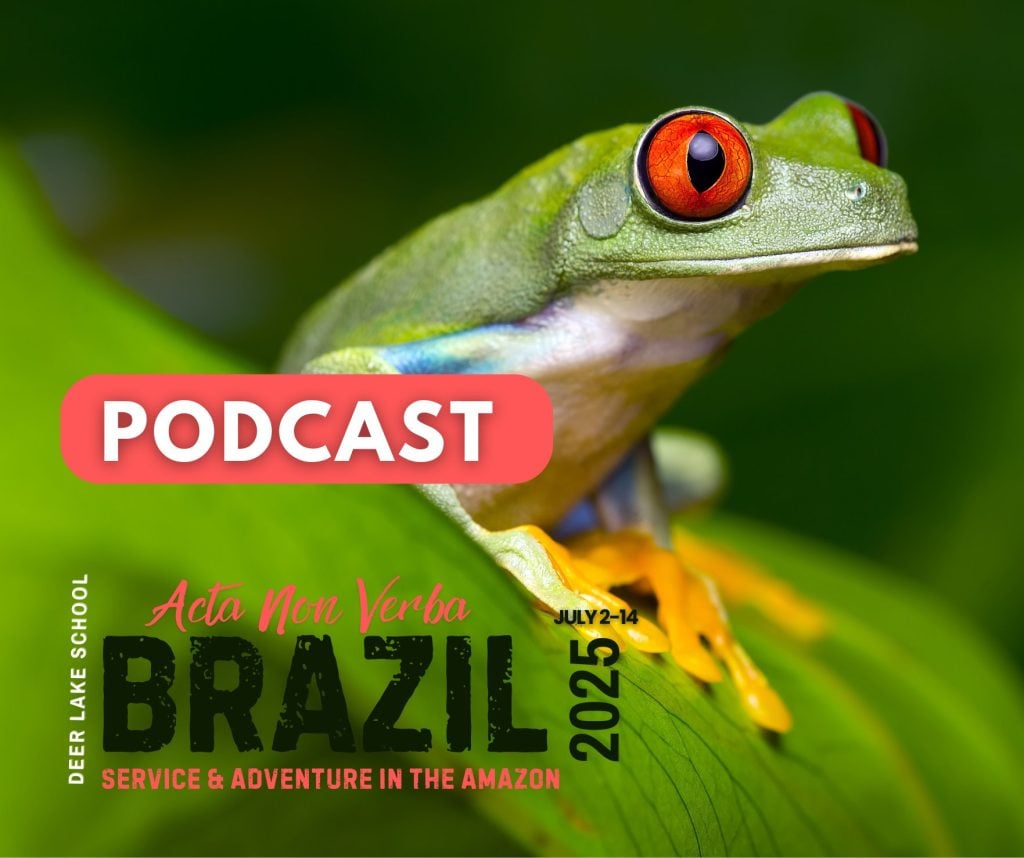 Acta-Non Verba: Brazil ’25