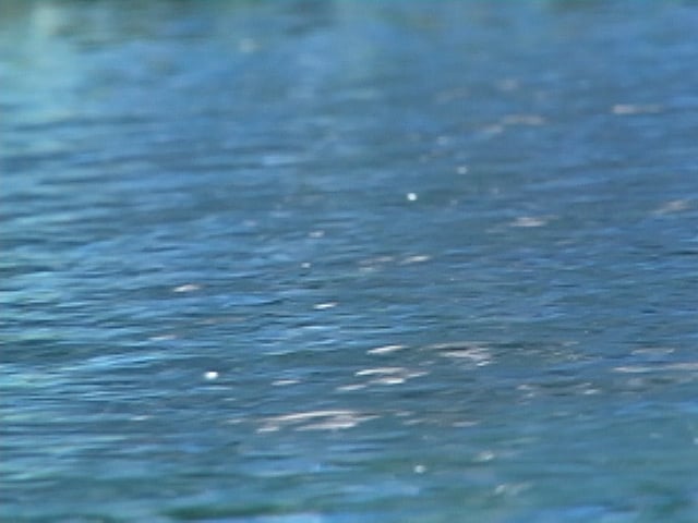 Baptism in the ocean at Peter’s Point, Amelia Island