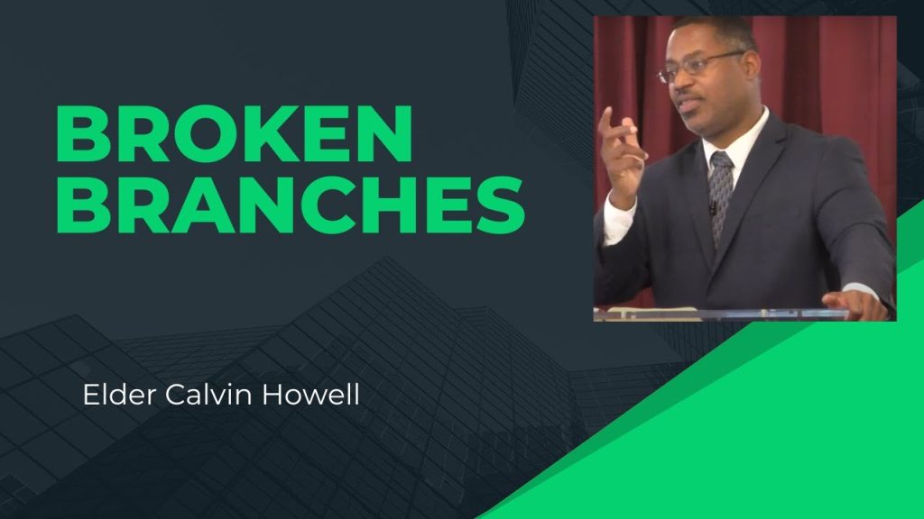 “Broken Branches”