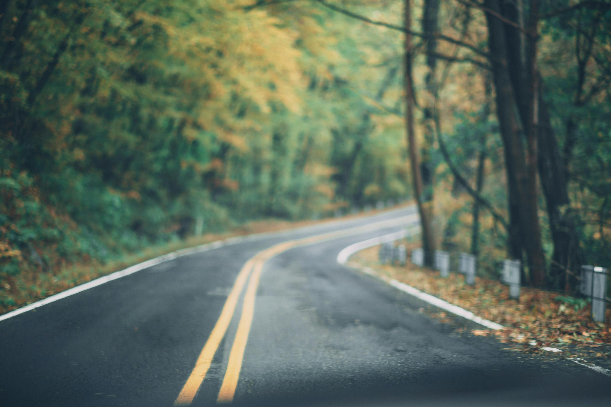 A scenic winding road through a vibrant autumn forest in Long Pond, PA.