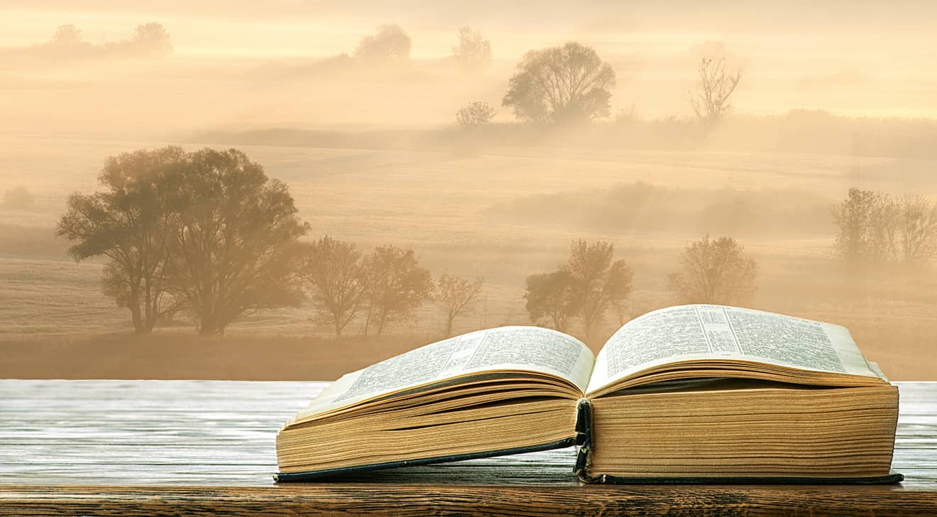 Picture of the Bible