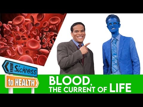 Blood, the Current of Life