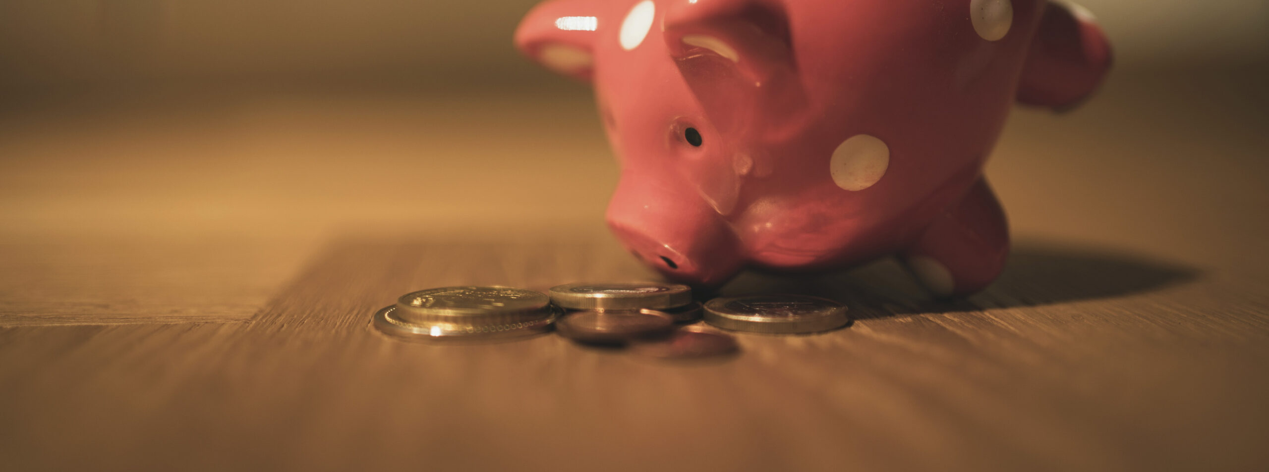 Piggy Bank and Coins