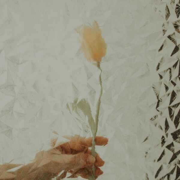 a person holding a flower in their hand