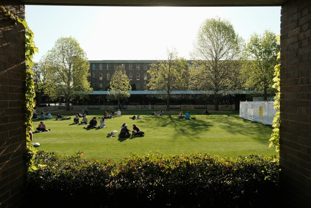 A group of people sitting on top of a lush green field