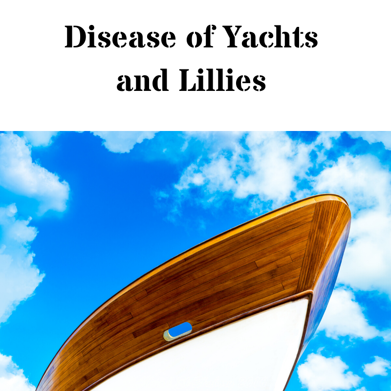 Disease of Yachts and Lillies