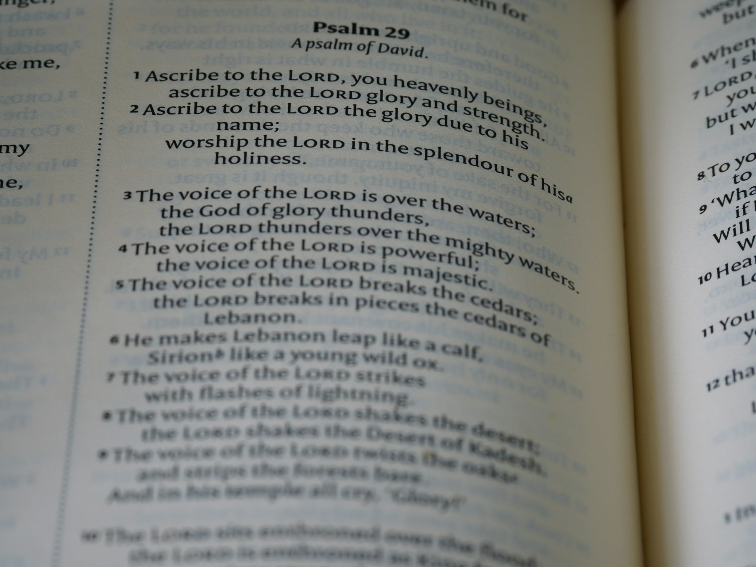 a close up of a book with an open page