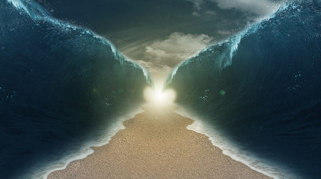 Exodus: The Way Out
