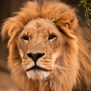 jonathon cress profile picture