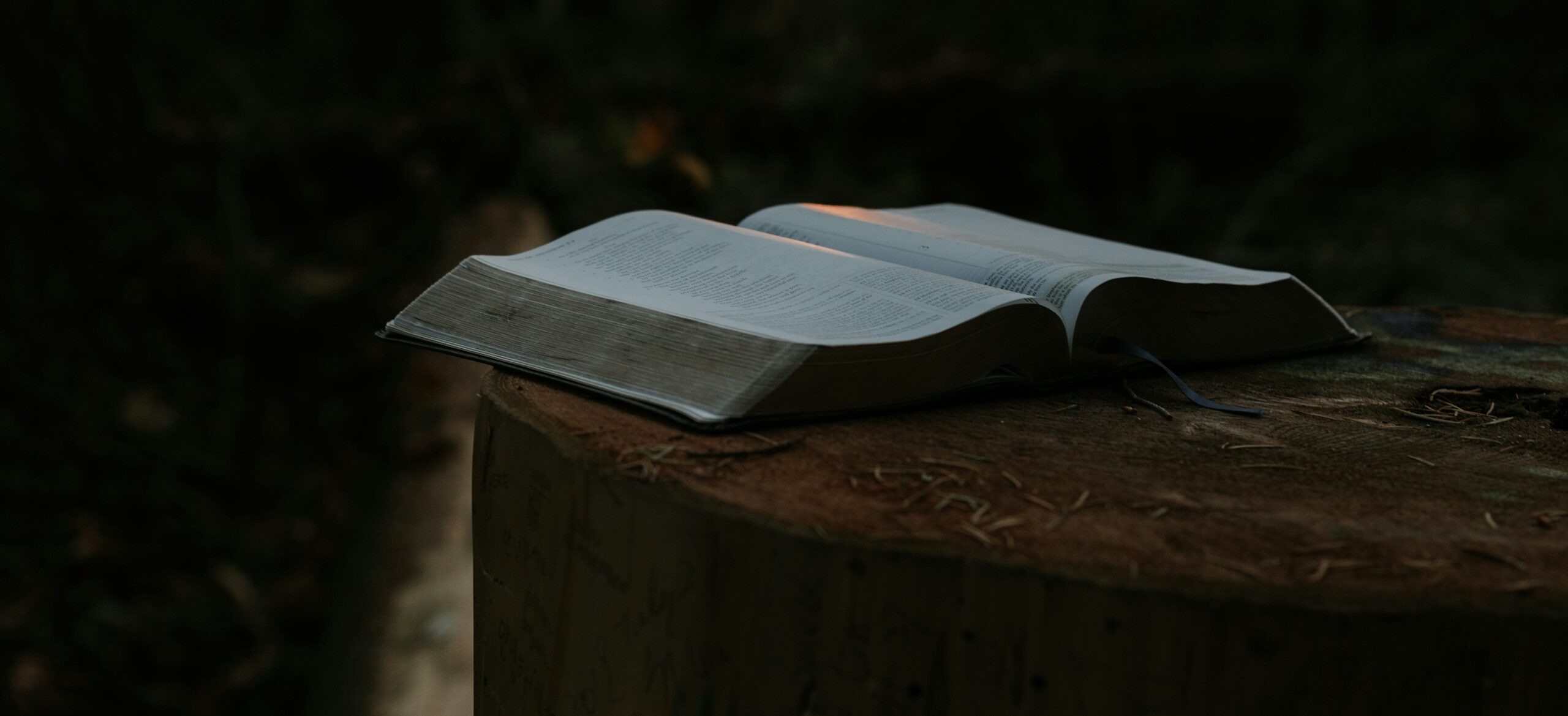 opened book page