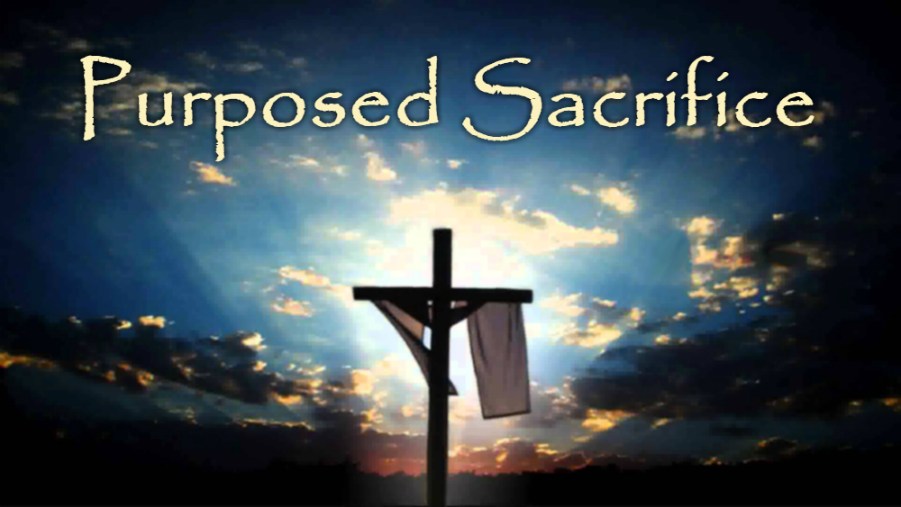 Purposed Sacrifice