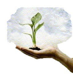How Do You Treat God’s Seed?