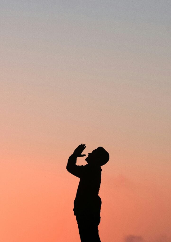silhouette of man during golden hour
