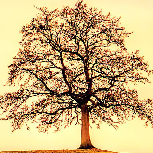 Clerk Stone Oak profile picture