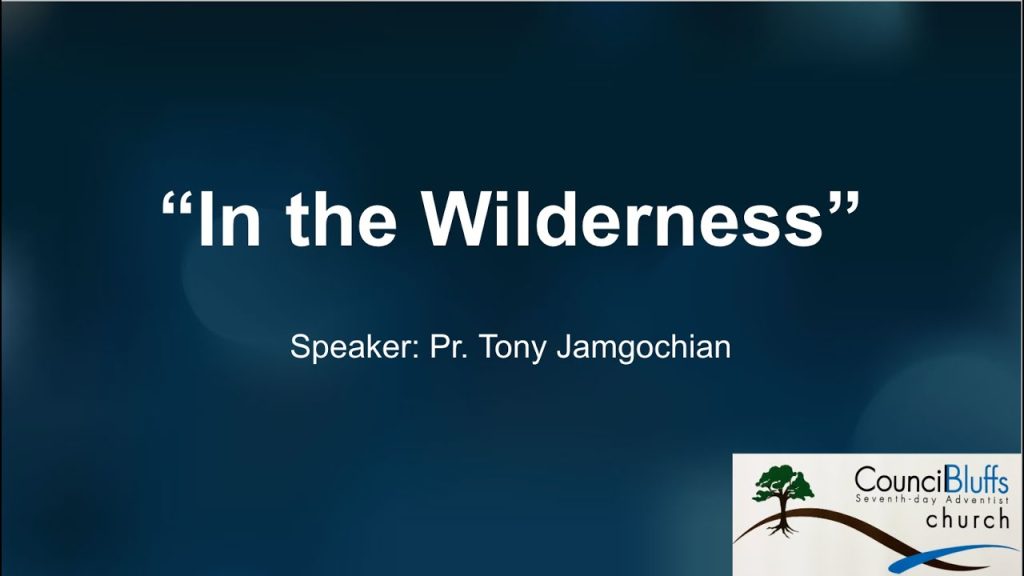 “In the Wilderness”