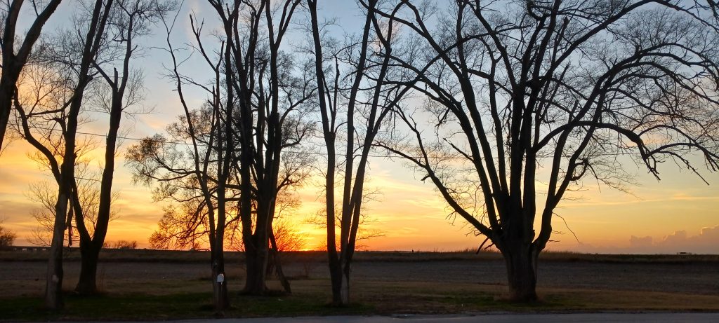 God’s Amazing Colors