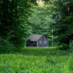 green and white wooden house in the middle of forest