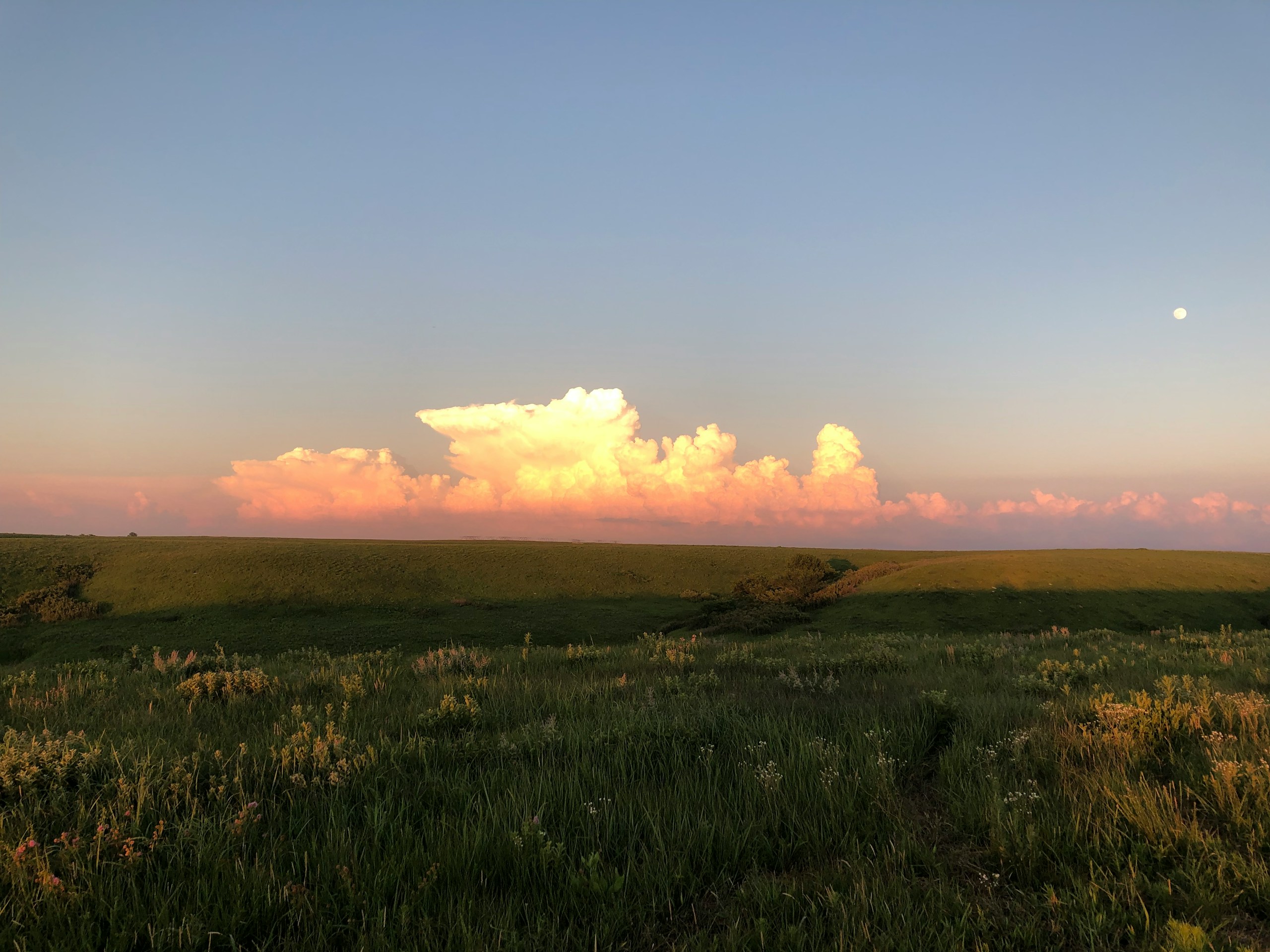 green field under orange cloudy sky