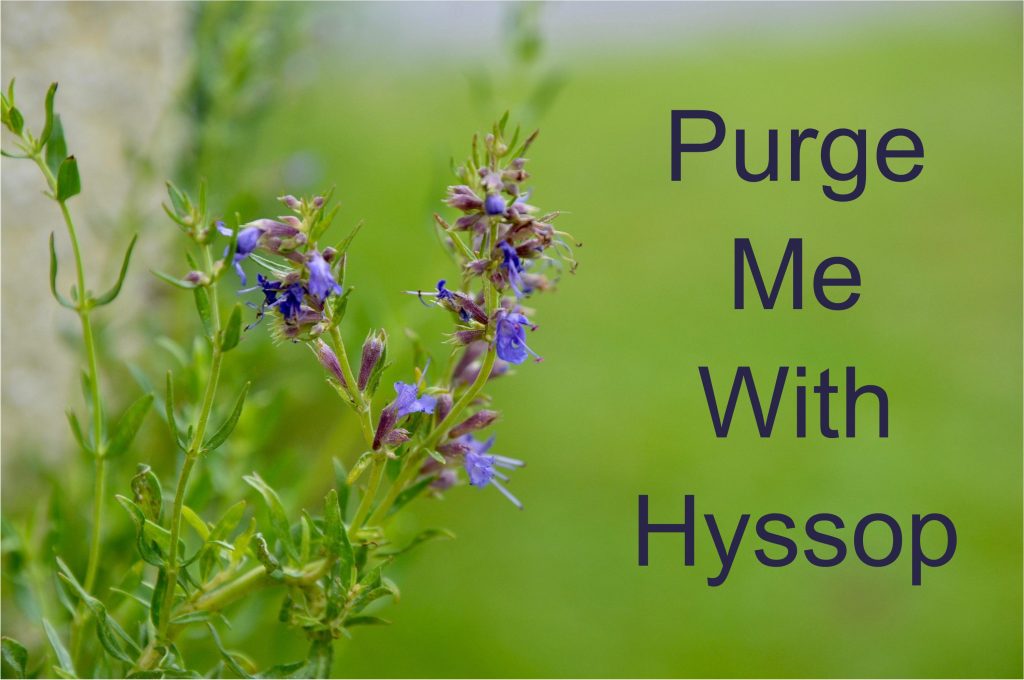 Purge Me With Hyssop